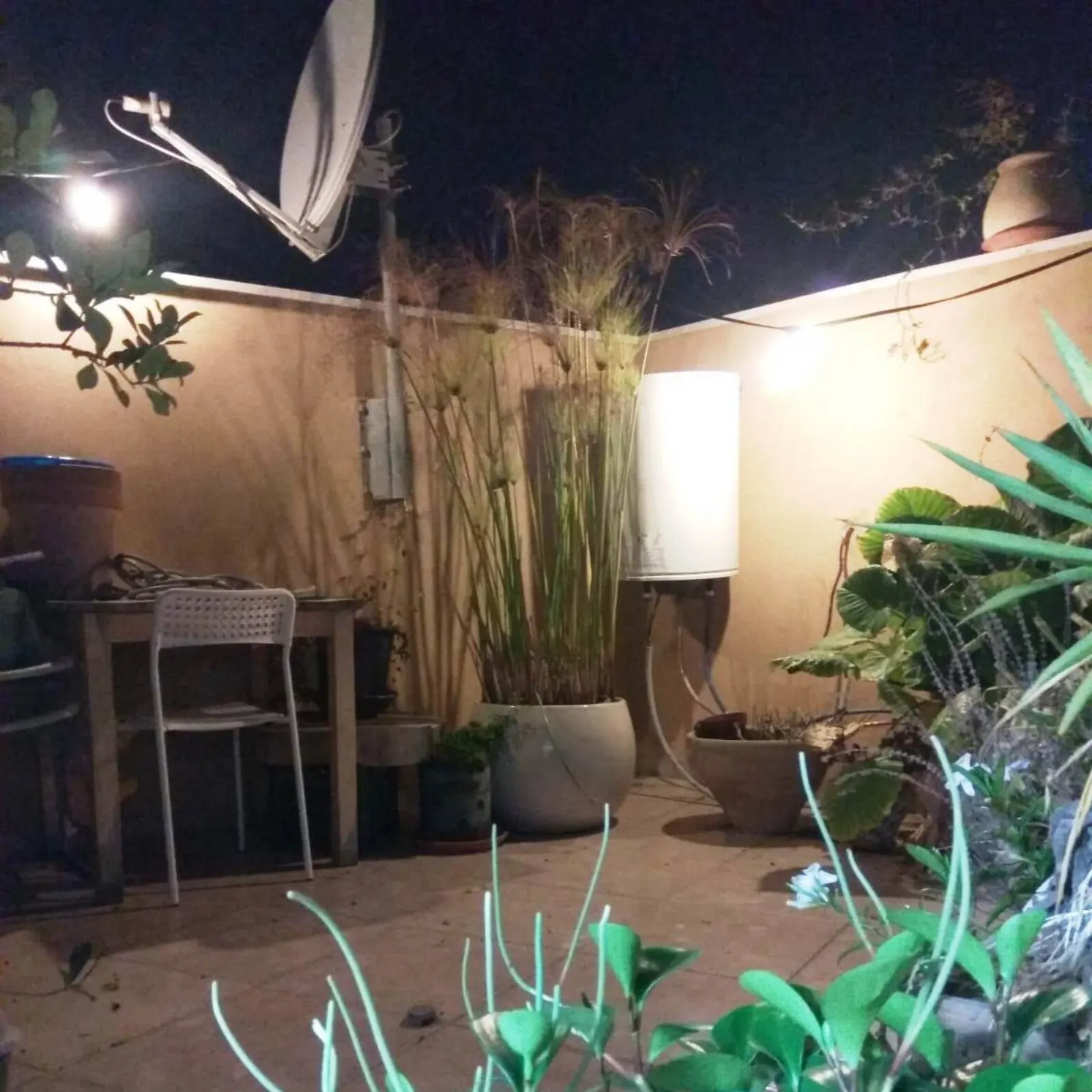 תמונה ממוזערת 2