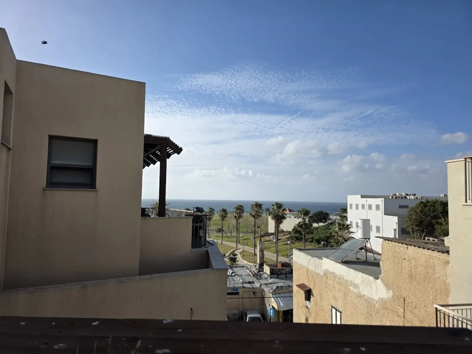 תמונה ממוזערת 2